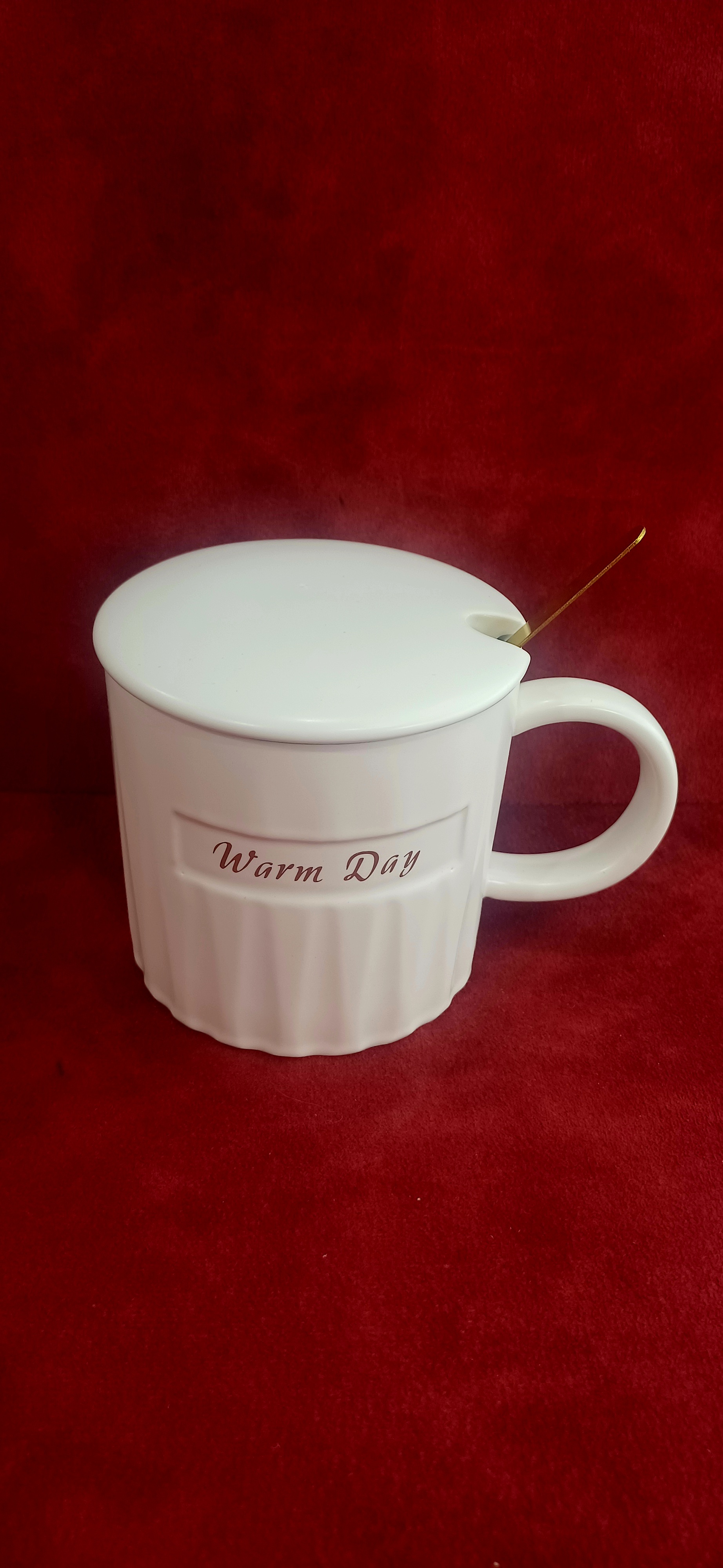 ماگ سرامیک درب دار سیمپل